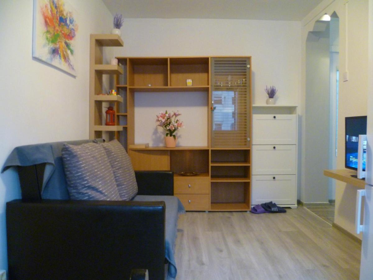 Romanilor - Studio First Floor เดวา ภายนอก รูปภาพ
